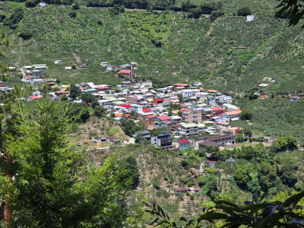 志佳陽大山（回程走高繞環山獵人登山步道）2542279