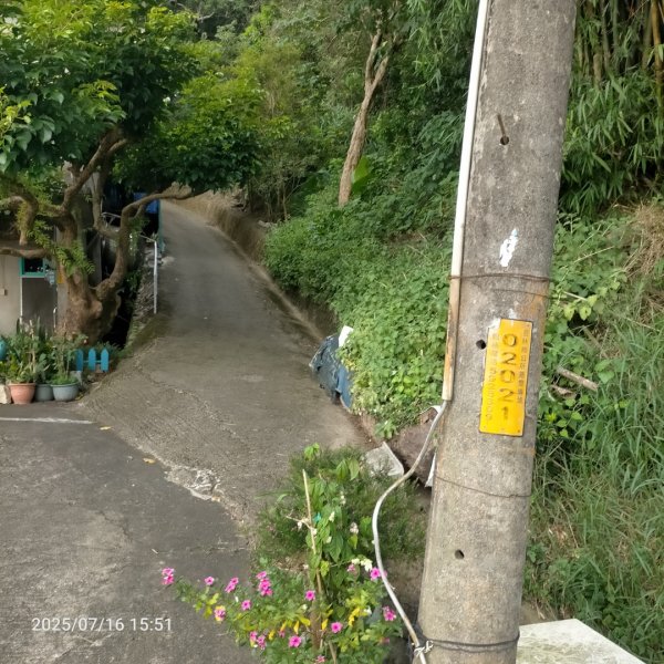 皮皮:三段崎古道2838647