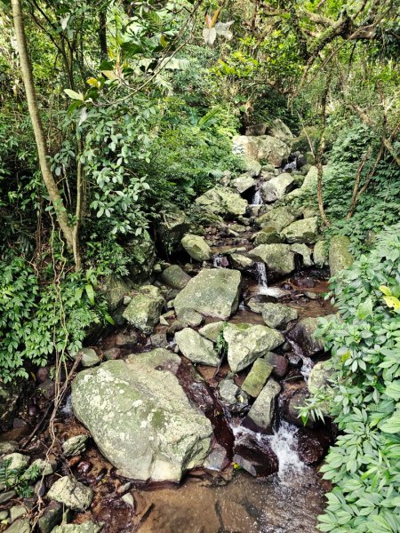 2025臺北大縱走第三段：小油坑至風櫃口2973476