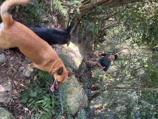 苗栗金童山、玉女山、汶水山2672871