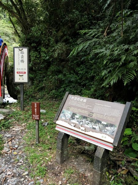 九寮溪步道370207