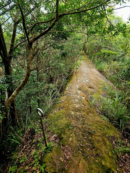 (五分山系)菁桐煤礦-2025微笑山線大縱走尋寶集章任務2855328