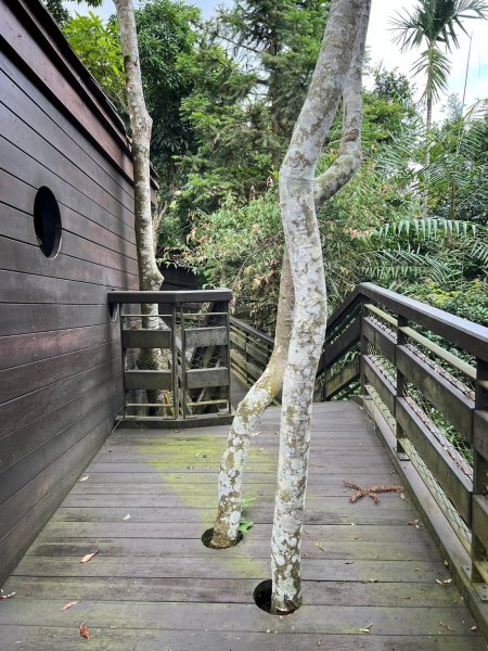 龍美步道 土匪山 公興森態園區2556371