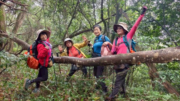 關西大東坑山/草長難過  順訪東安古橋2930500