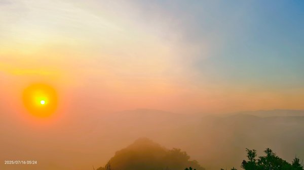 雲山水花鳥蝶-天龍國阿伯的日常 7/162838410