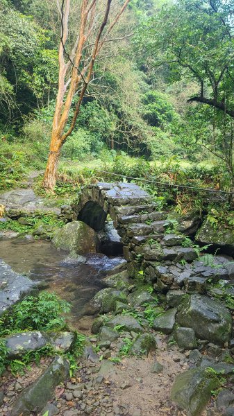 2026-0204 中坑古道_下坑古道O型3005561