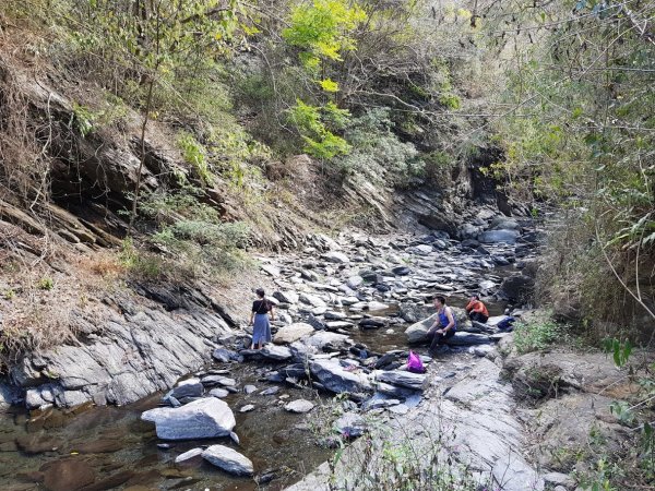 羅木斯步道1018539