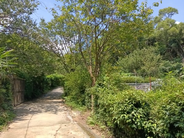 內湖區大丘田保甲路+開眼山+白石湖山+白石湖山東峰+大邱田山+消防山O型2858895