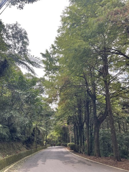 千島湖周邊步道2936043