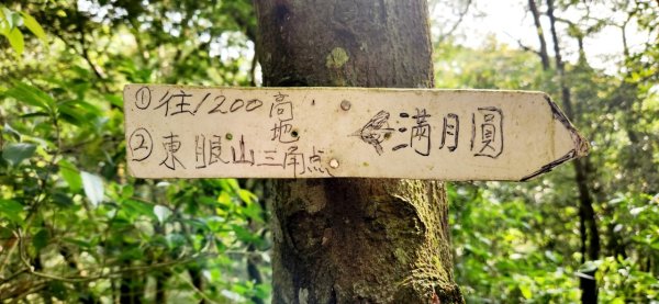 【中級山縱走】志繼山，東眼山，拉卡山，卡外山，東滿步道2742584