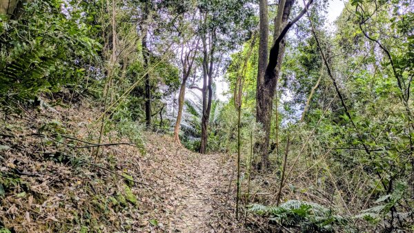 七二法則的倍數樂章2984126