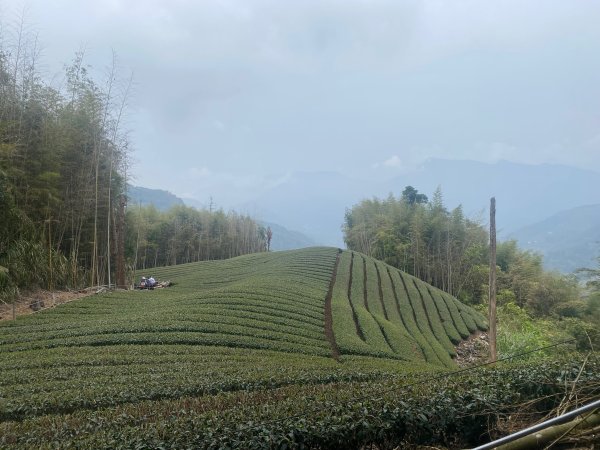 1120329奮瑞古道2643560