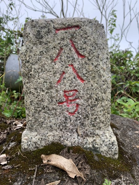 20250127屏東坪埔厝山-草山-南湖呂山西峰-南湖呂山2705087