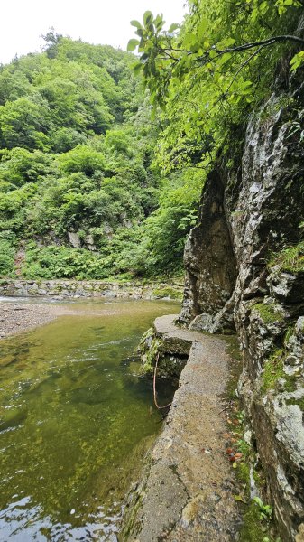 240814-白神山地世界自然遺產地域。美美兔不能錯過的日本東北健行路線。2603904