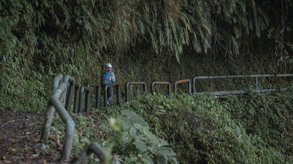 瓦拉米步道-佳心營地住一晚2708466