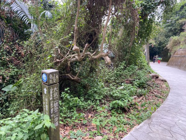 大坑2號原路來回2130459