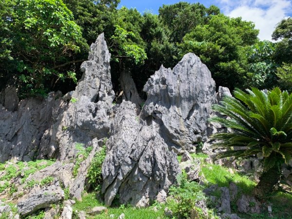 大石林山672531