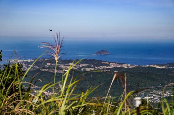 五分山｜小百岳2915450