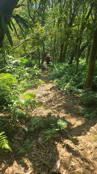 2025-0130溪和宮-大崎頭步道-鵝尾山-平溪步道-鵝尾山水田-42巷-溪山百年古圳-平菁步道2701875