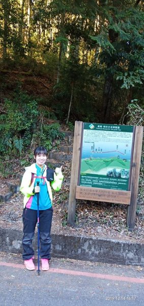 108.12.14台中稍來山（紅榨槭，夕776882