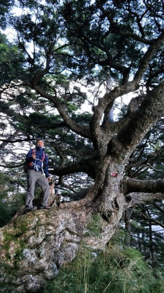 20180716南投信義玉山2502701