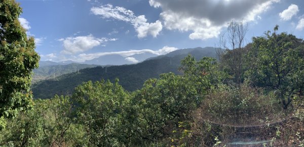 20250315屏東頭崙山-頭崙山西北峰2737226