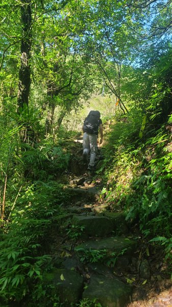 2026-0204 中坑古道_下坑古道O型3005569