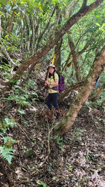 大混李棟山2816343