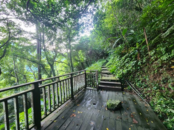 20240707馬胎古道2780978