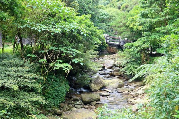 〔暖暖〕 暖東峽谷  ，雙溪荷所在 。昔日淡蘭古道中路一段  壯觀滑瀑，新北最大荷花園  唯美黃荷2187574