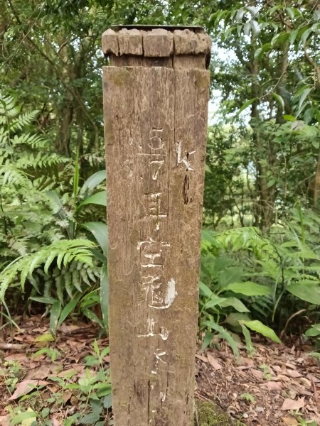 汐止區磐石嶺福興宮+581峰+雙十塔+耳空龜山+四分尾山+大尖山2805714