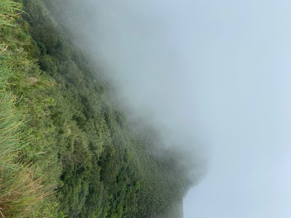 2025/09/07 大屯溪古道2926719