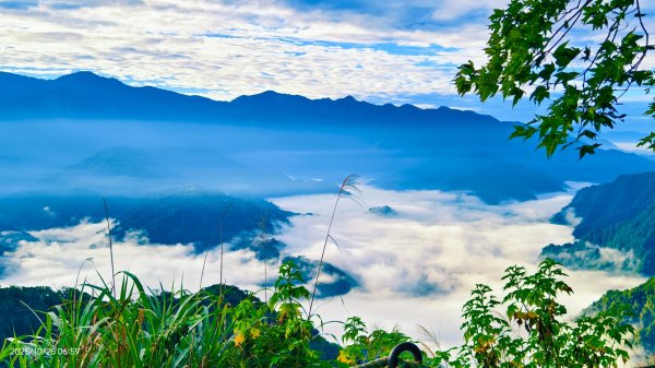 #馬那邦山 #琉璃光 #日出 #雲海 #山羌 #楓葉 10/25 & 11/12924624