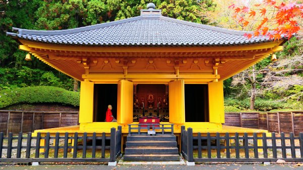 岩手縣藤原之鄉2930109