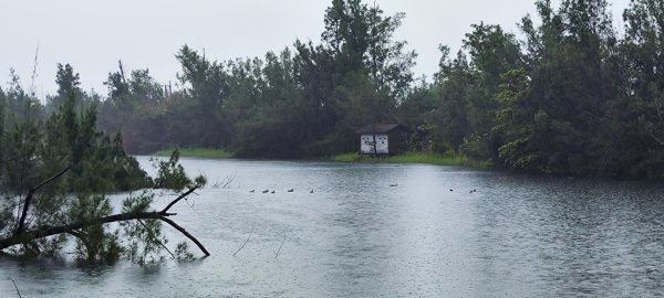 台東．森林公園202508013019166