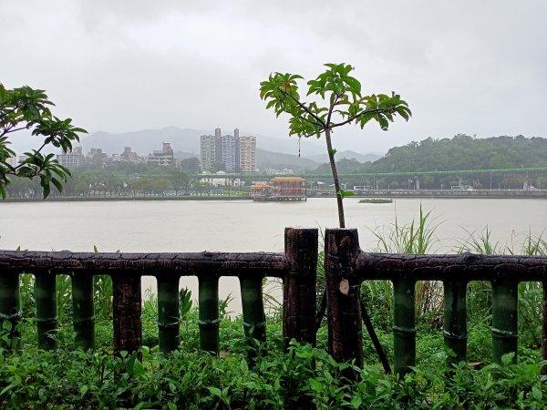 大湖公園 (防災公園)【走路趣尋寶，全臺齊步走】1895270