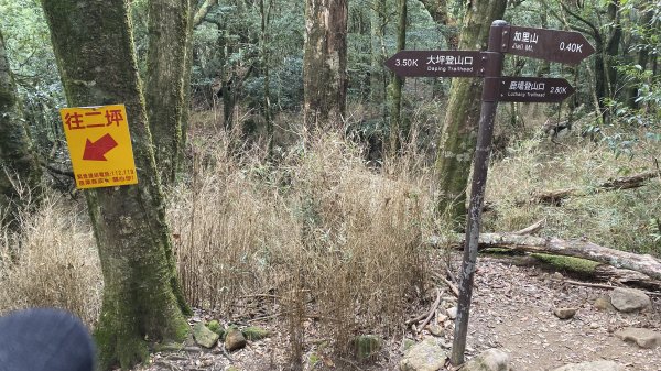 苗栗南庄加里山大坪線雲海上的聖誕節野餐趴1217129