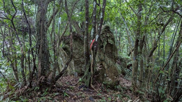114.05.17聖人崙-聖人瀑布之旅2789514