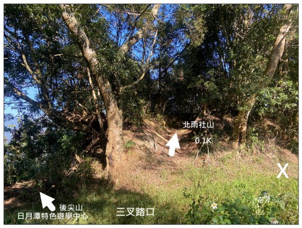 逐鹿古道、雨社山(南投、魚池)2667437