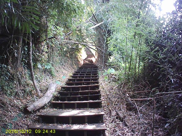 石岡區挑物古道+九房里古道O繞3133666