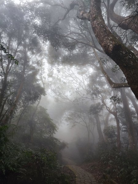 九讚頭車站-大崎棟.茶亭.逃學.騎龍古道20幾K繞大O2972513