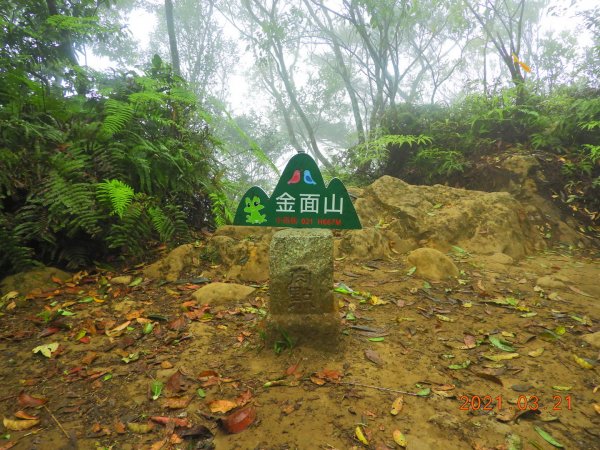 桃園 大溪 金面山、金山面山封面