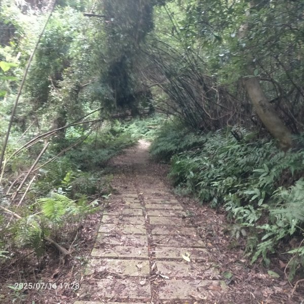 皮皮:三段崎古道2838658