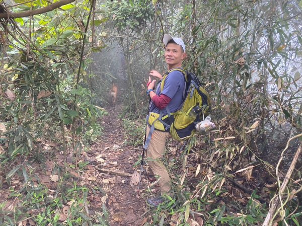 馬那邦山.細道邦山【你 不能預判山的變幻莫測】2401507