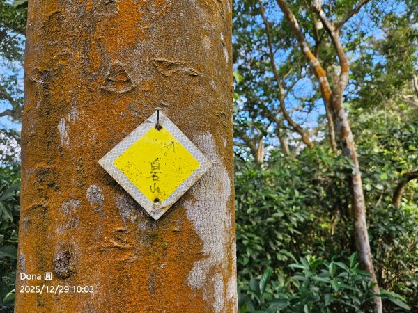 20251229石龜坑山上白石山下白石埤O走+阿姆坪2976657