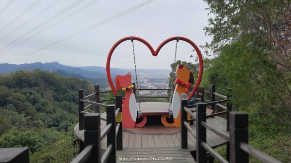 《台中》樹中有樹｜大坑步道6上7下O繞202502082708621