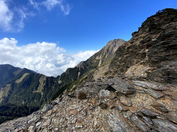 玉山後四峰-不同角度看玉山、圓峰雲海964349