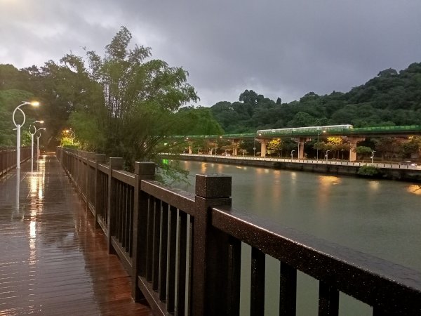 大湖公園《雨中夜行》1904684