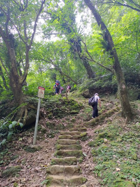 三貂嶺瀑布群步道→大華車站1053242