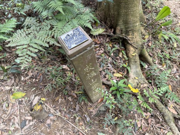 [微笑山線_第四段] 2026_0321 天上山系_十八羅漢岩3022122